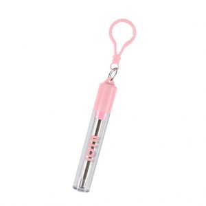 Branded Collapsible Stainless Steel Straw Kit Pink