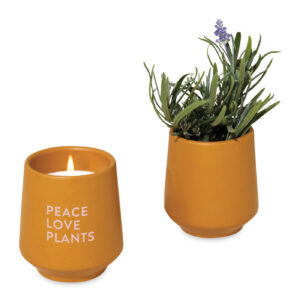 Branded Modern Sprout® Rooted Candle Mustard/Lavender